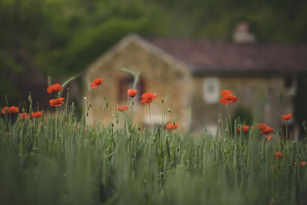 Le Pressoir - Domaine Du Chateau De La Bourlie - Boutique Villa Up To 12 Guests Urval Exterior foto